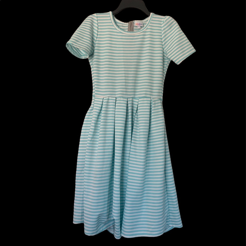 LuLaRoe Amelia Skater Dress